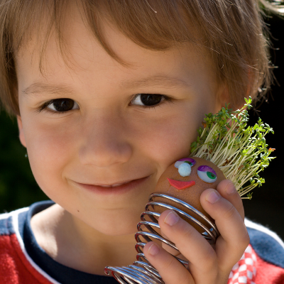 How To Make Cress Egg Heads