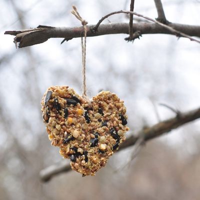 How To Make Birdseed Hangers