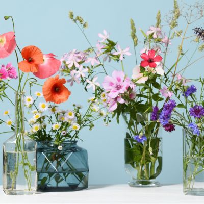 Everything You Need To Know About Growing Cut Flowers