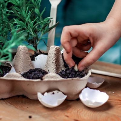 Ten Tips For Gardening on a Budget