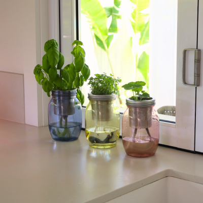 Getting The Most Out Of Your Self-Watering Mason Jar Grow Kit