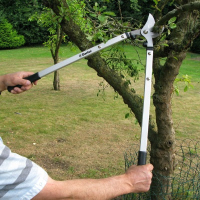 Ten Rules of Pruning