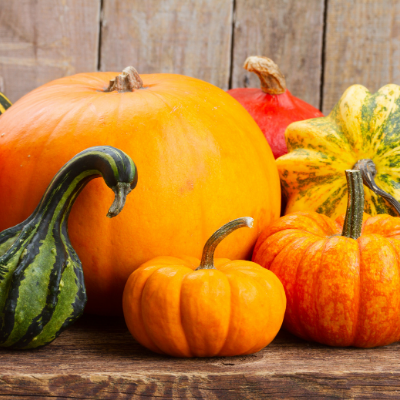 Growing Pumpkin, Squash & Zucchini