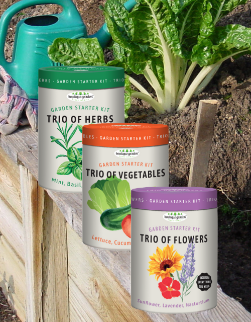 Trio Garden Starter Kits