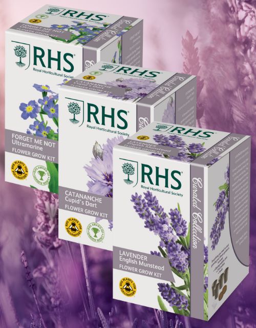 RHS Flower Grow Kits