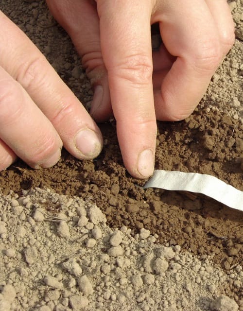 Seed Mats & Seed Tapes