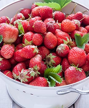 Strawberry Seeds