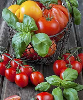 Tomato Seed Varieties