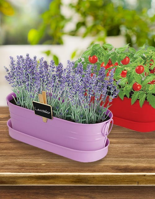 Windowsill Grow Kit Tins