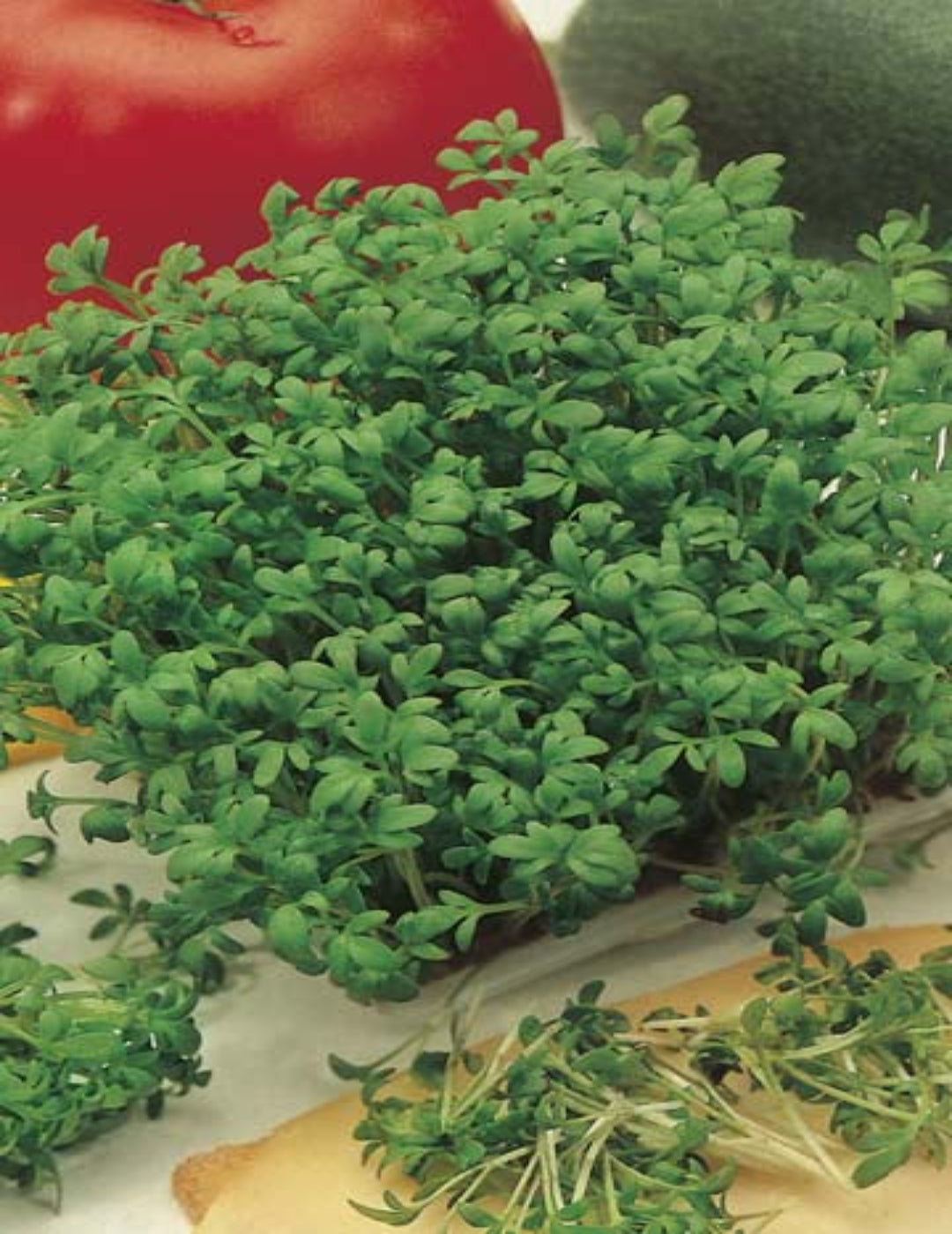 Cress Fine Curled ORGANIC