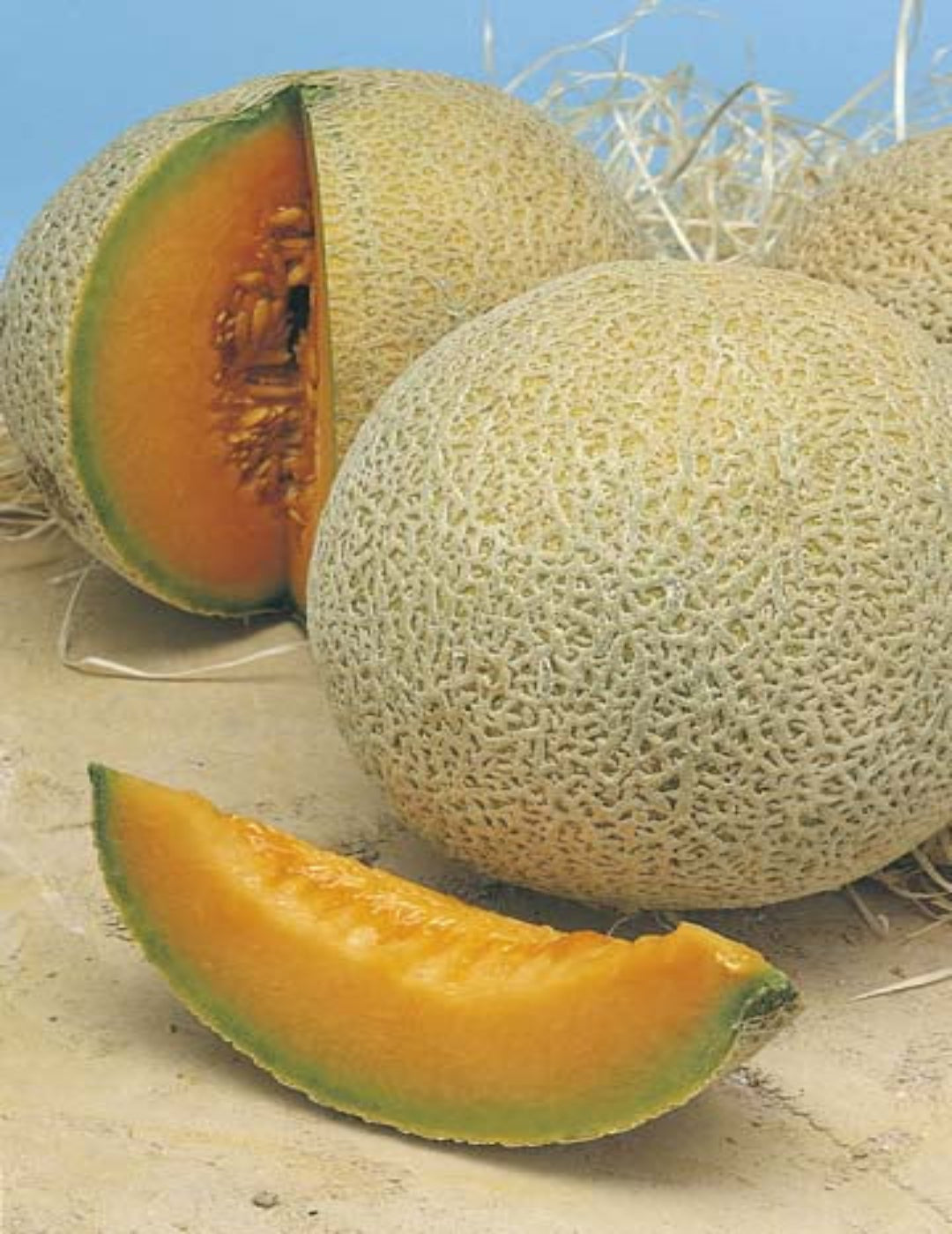 Hales Best Rockmelon Seeds