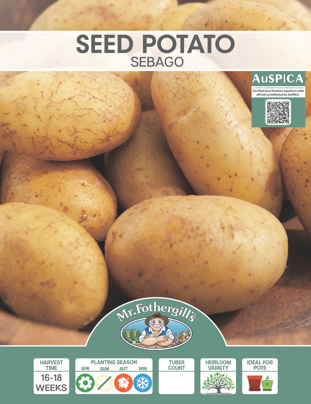 Potato Sebago 500g bag