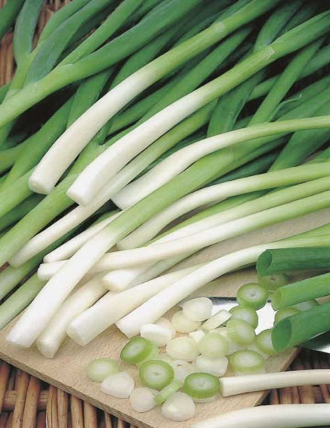 Bunching Ishikura Spring Onion Seeds