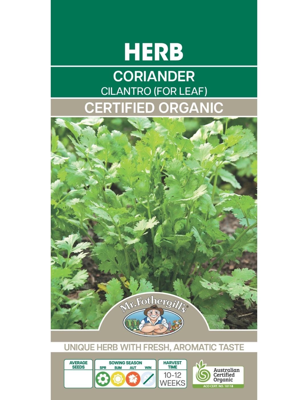 Coriander For Leaf ORGANIC