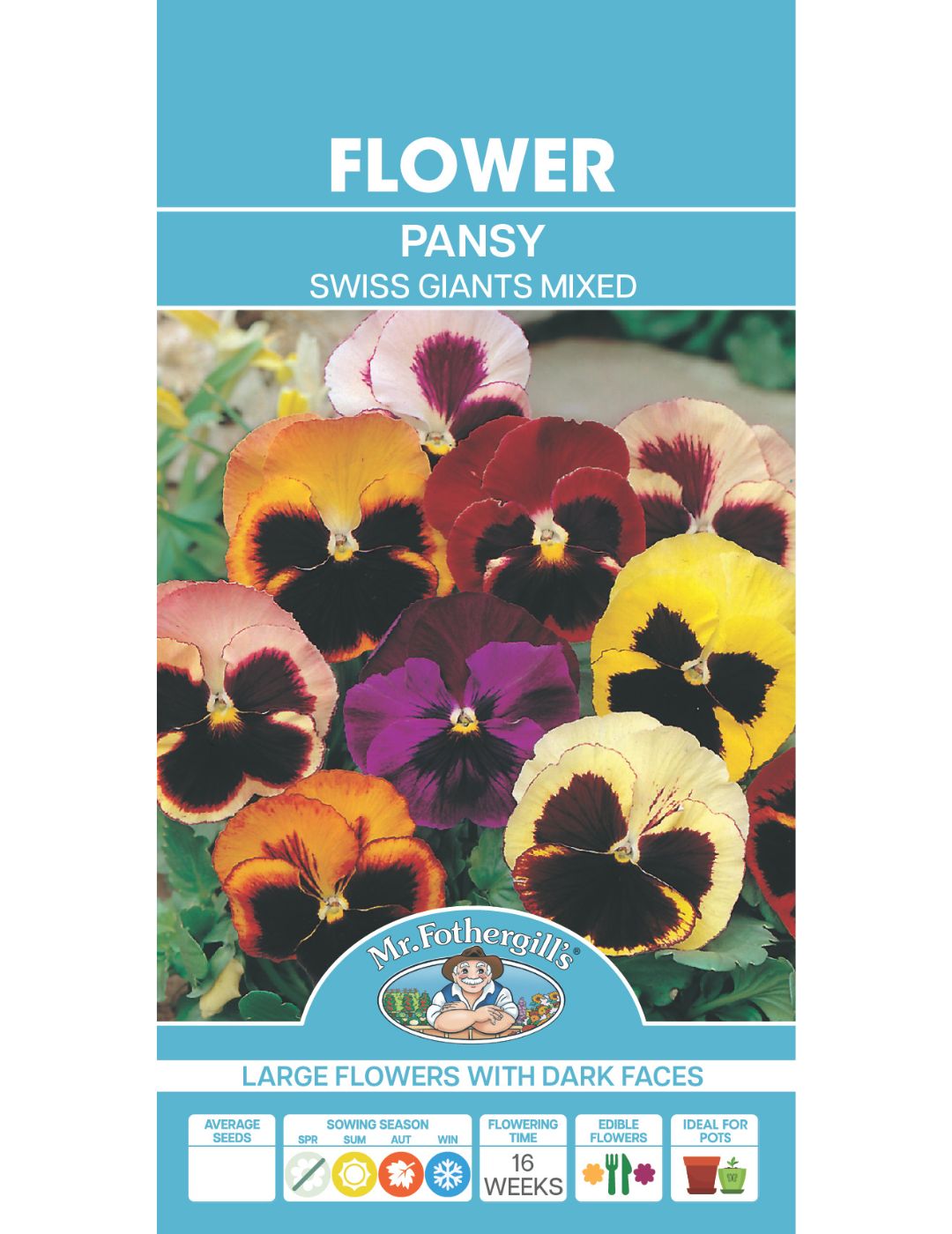 Pansy 'Swiss Giants Mixed' Seeds