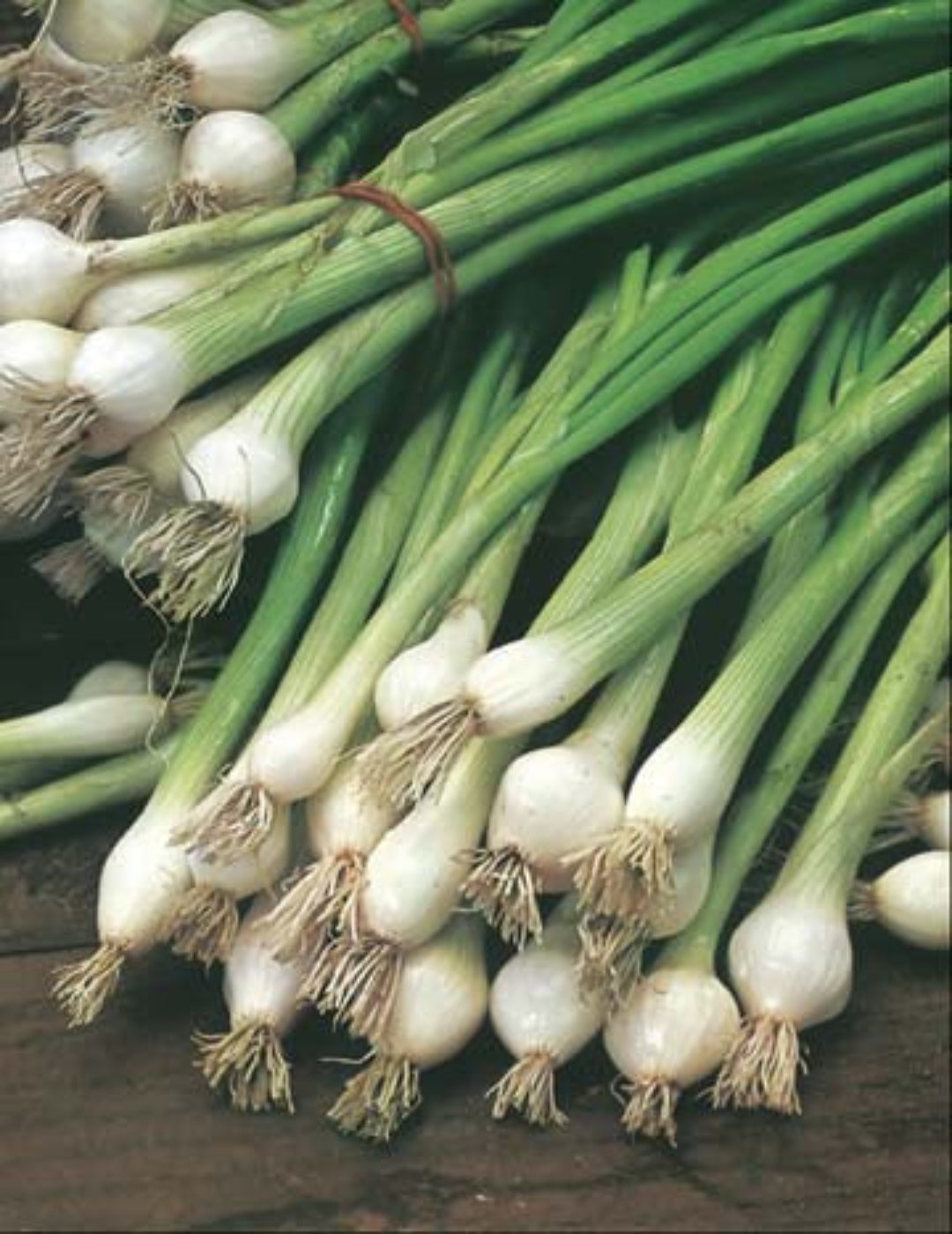 White Lisbon Spring Onion Value Pack