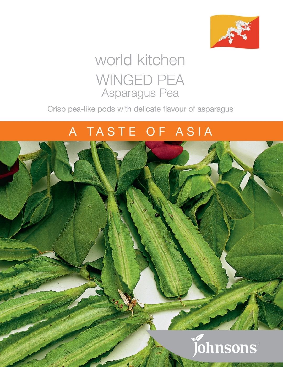 Winged Pea Asparagus Pea