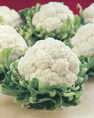 Cauliflower All Year Round