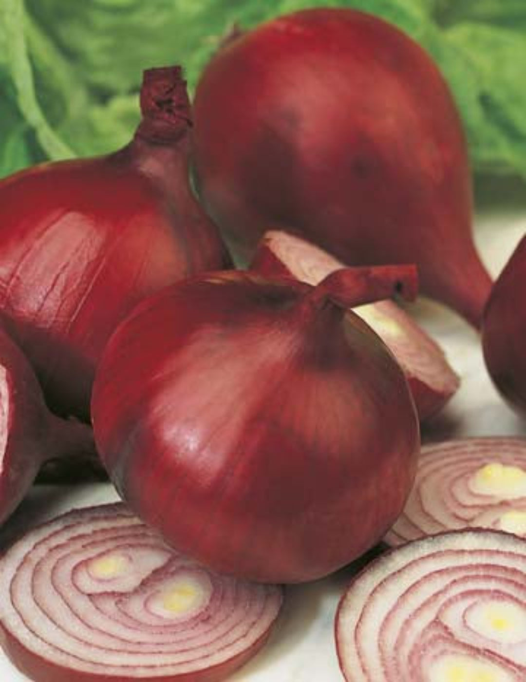 Onion Early Californian Red