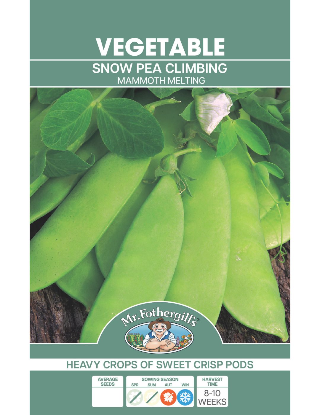 Snow Pea, Climbing Mammoth Melting