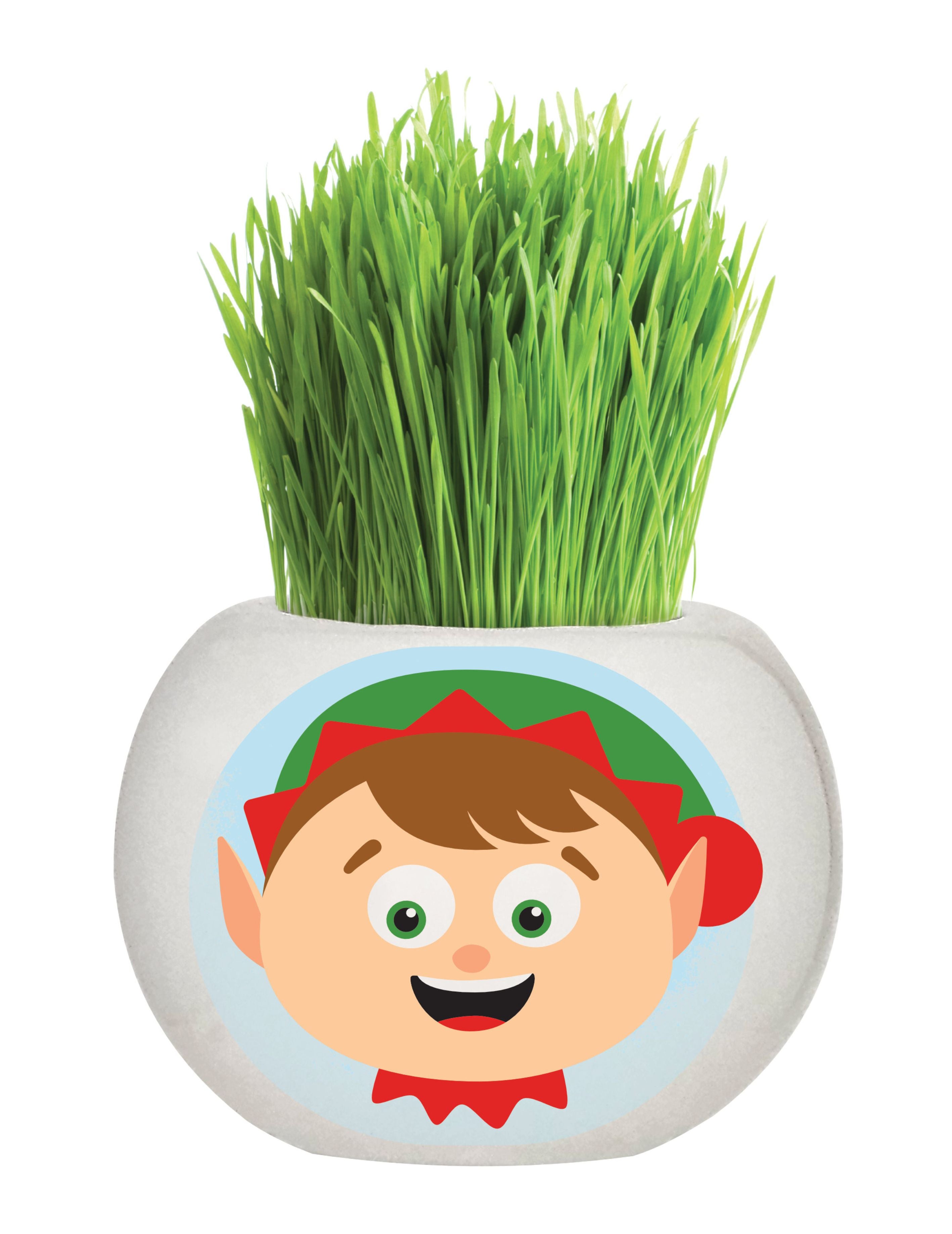 Grass Hair Kit - Christmas (Elf)