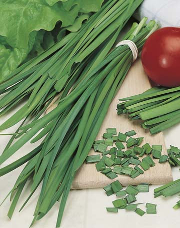 Chives Garlic