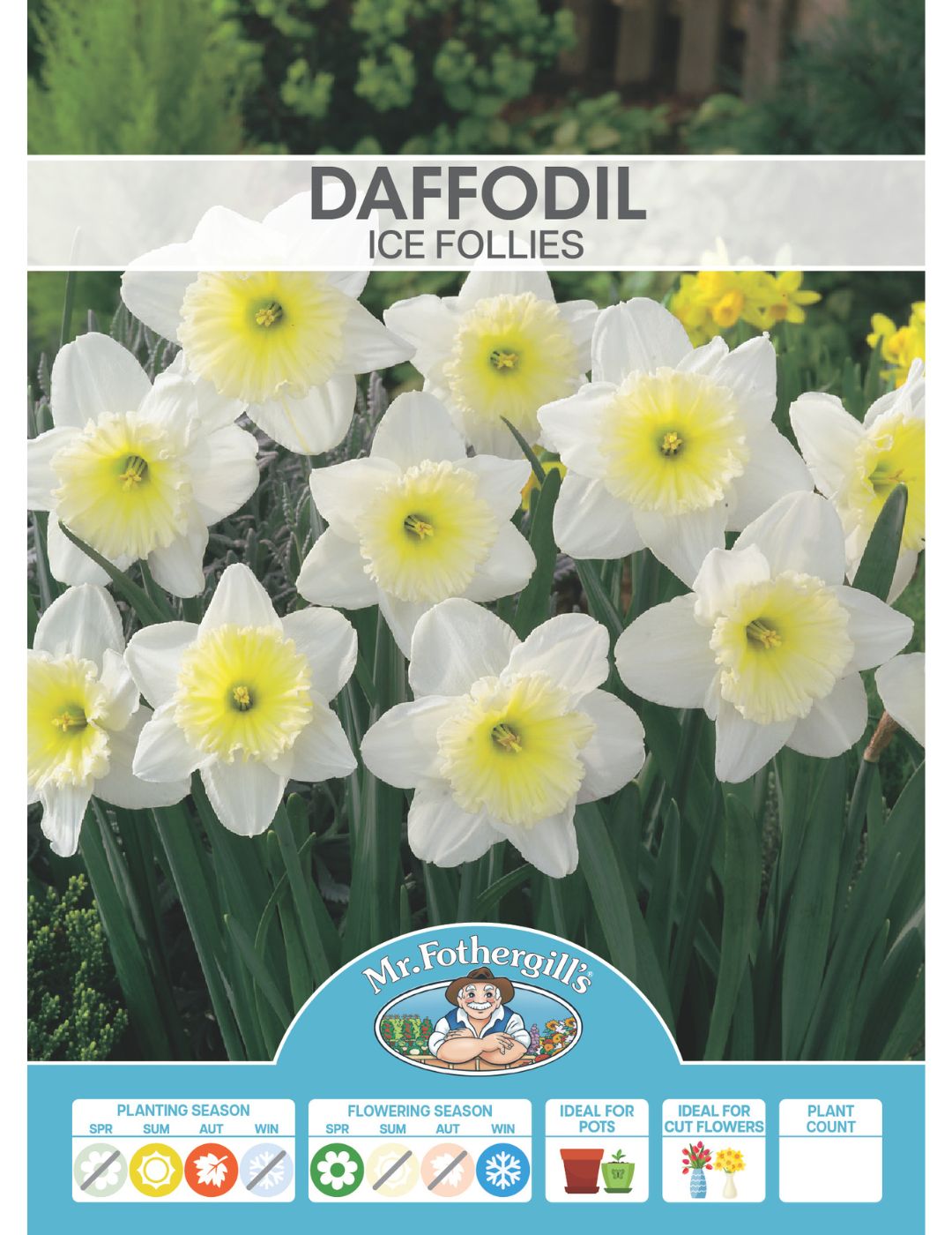 Daffodil Ice Follies