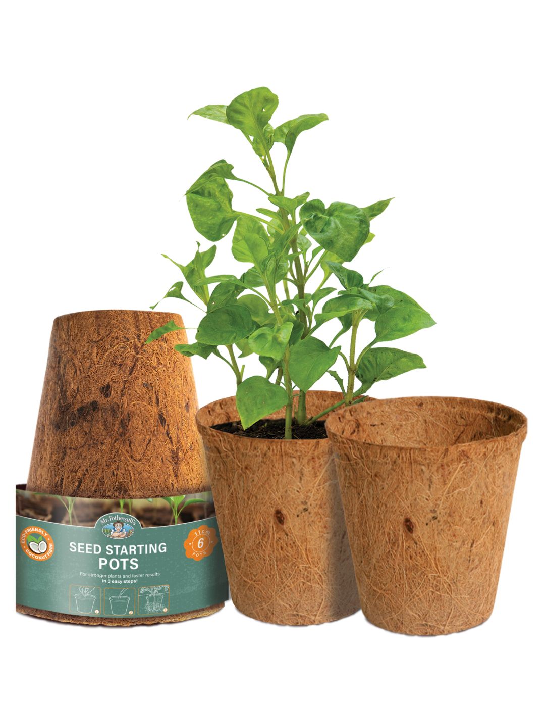 Mr Fothergill's 11cm Coco Fibre Pot (6 Pots)