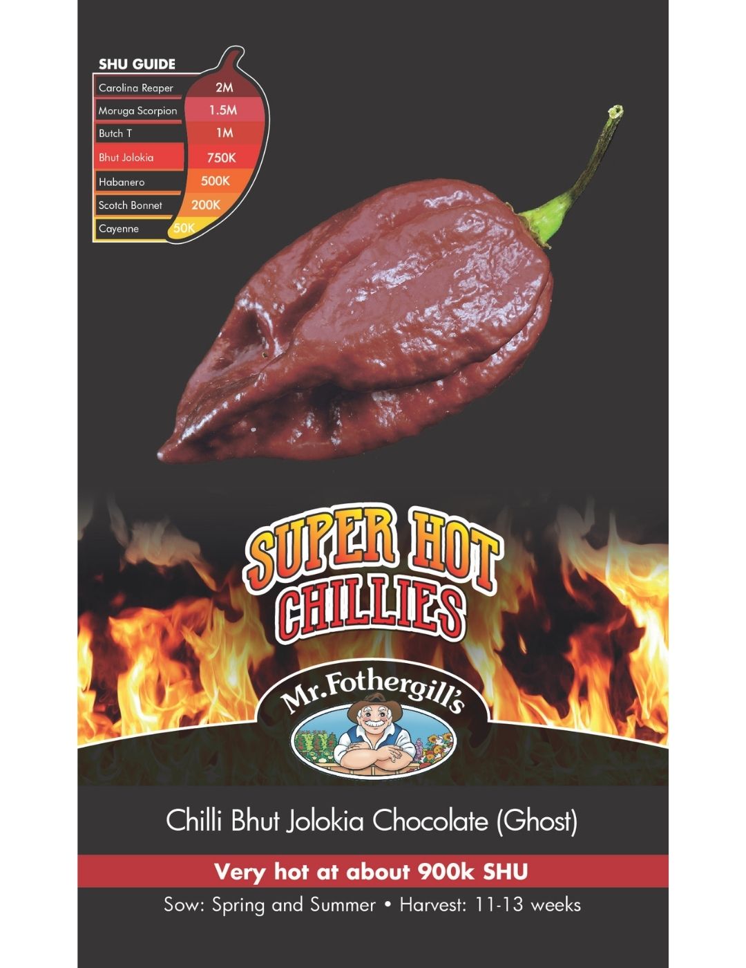 Super Hot Chilli Chocolate Bhut Jolokia Seeds (Ghost Pepper)