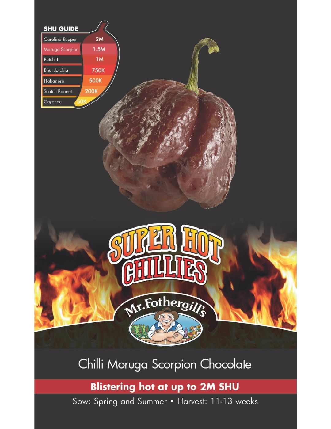 Super Hot Chilli Moruga Scorpion Chocolate