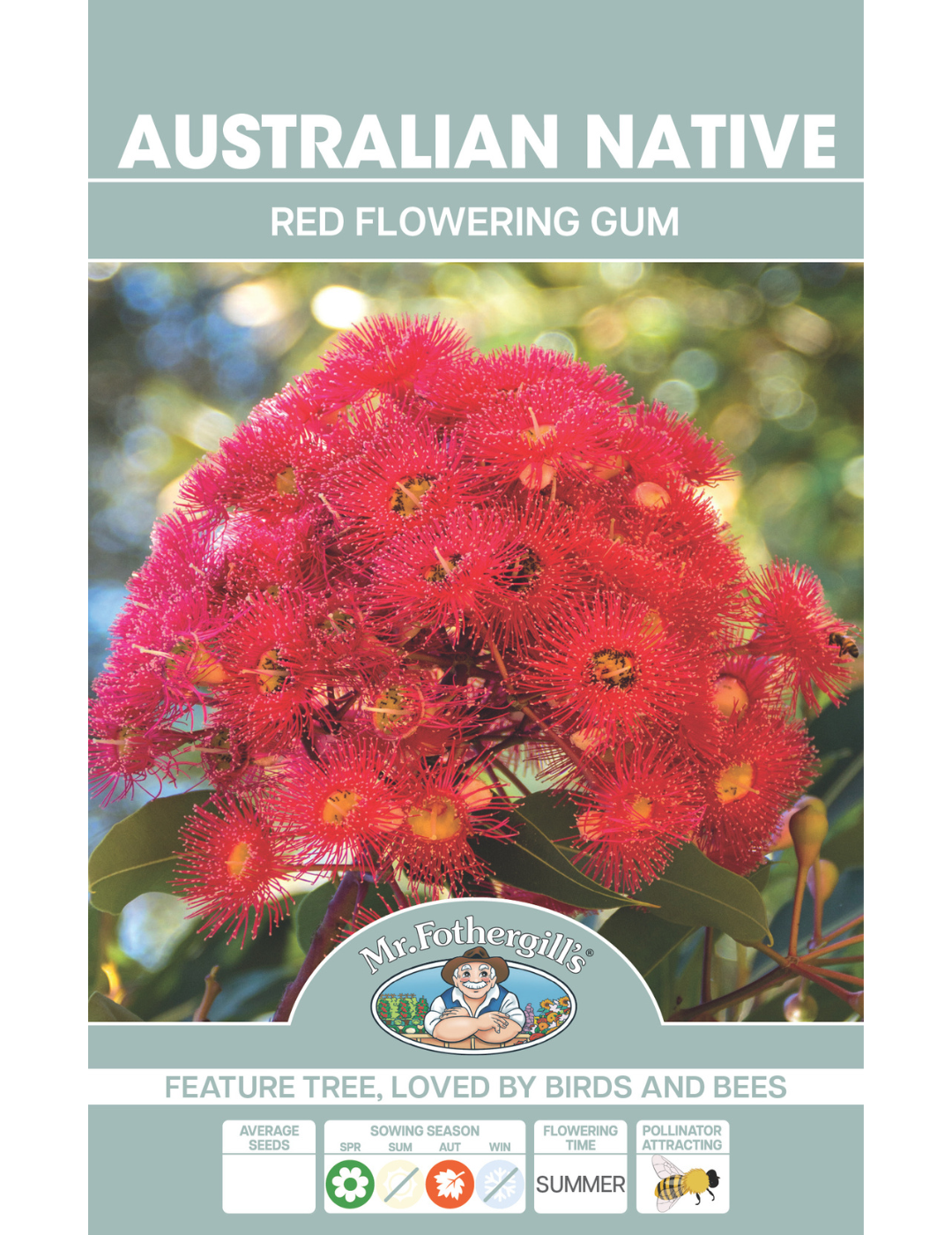 Red Flowering Gum WILDFLOWER - NOT AVAILABLE TO WA/TAS/SA