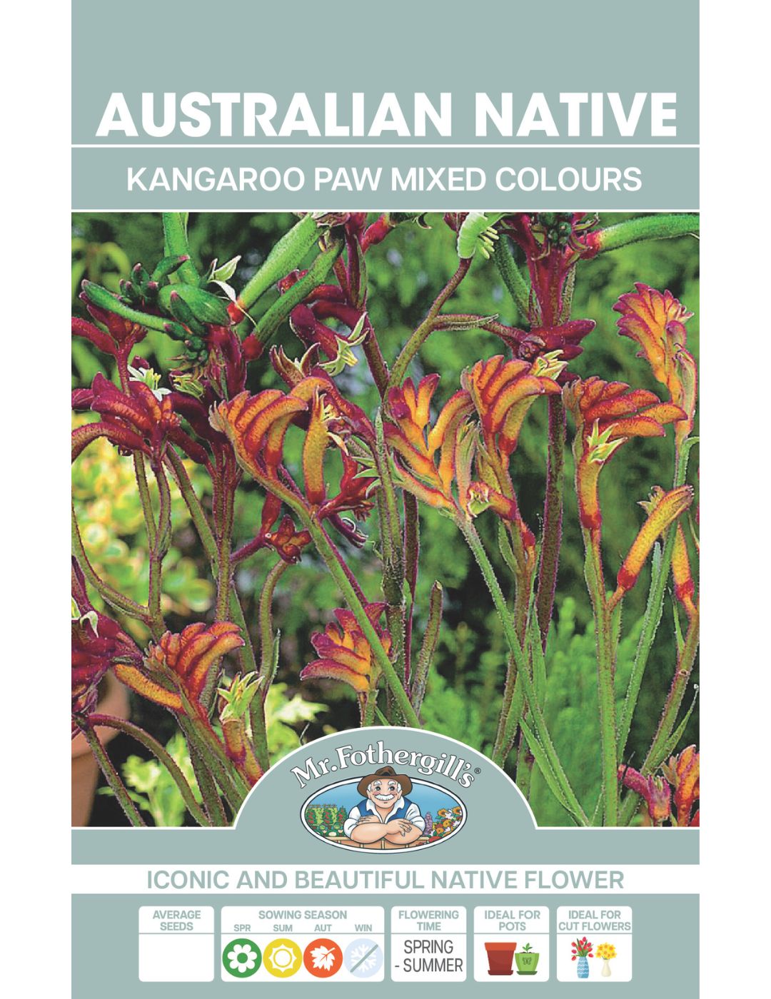 Kangaroo Paw Mixed Colours Wildflower Seeds