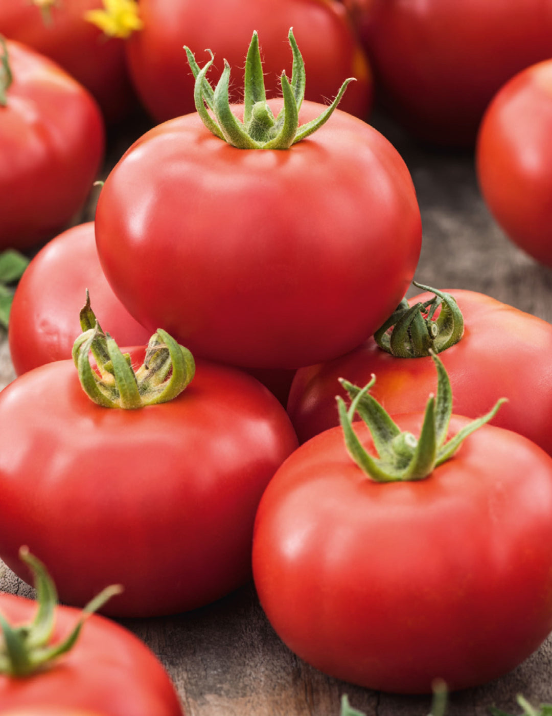 Tomato Grosse Lisse Seeds