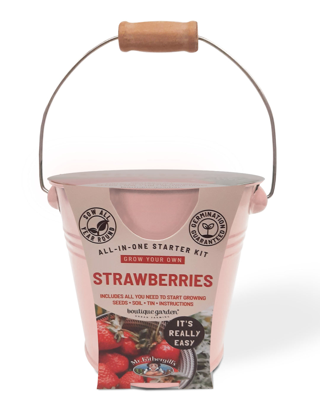 Round Grow Strawberry Kit Tin