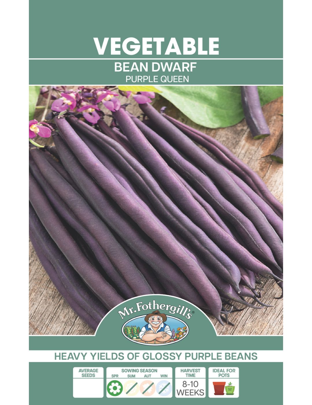 Bean, Dwarf Purple Queen - BULK BAG