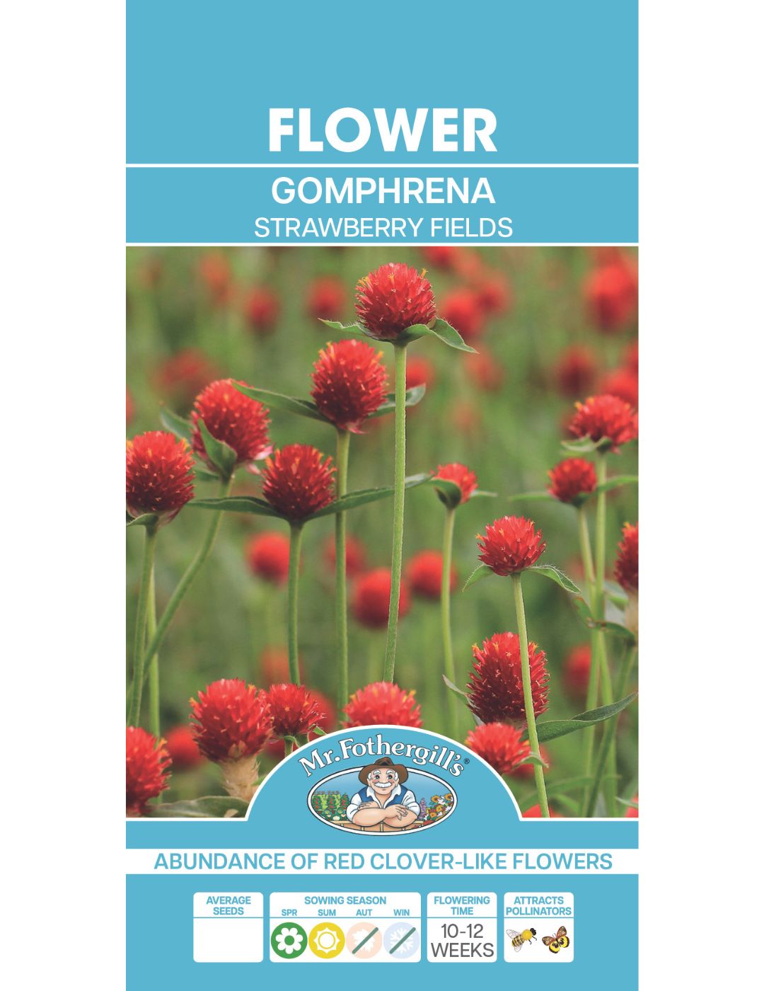 Gomphrena Strawberry Fields (Seeds)