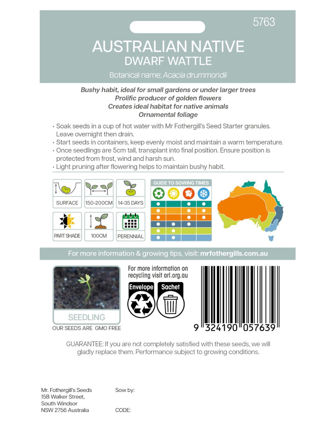 Dwarf Wattle WILDFLOWER