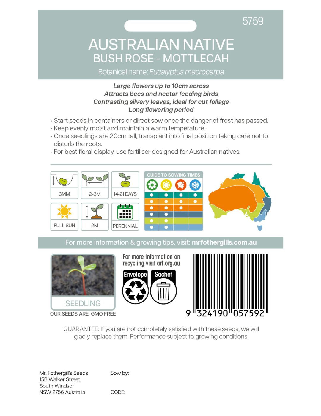 Bush Rose WILDFLOWER seeds - NOT AVAILABLE TO WA/TAS/SA