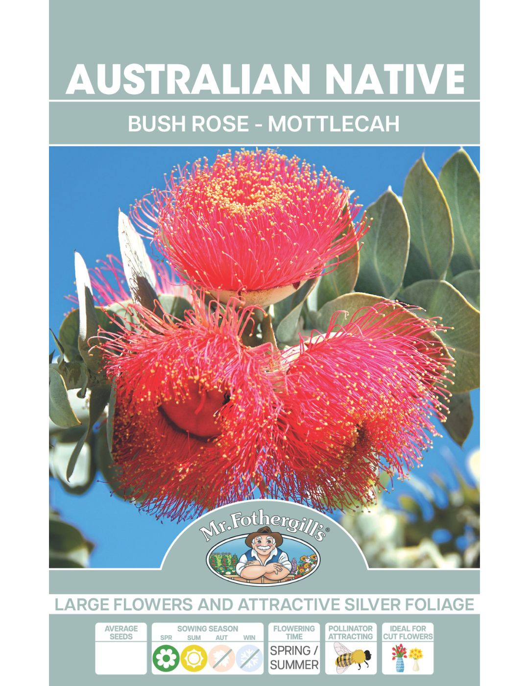 Bush Rose WILDFLOWER seeds - NOT AVAILABLE TO WA/TAS/SA