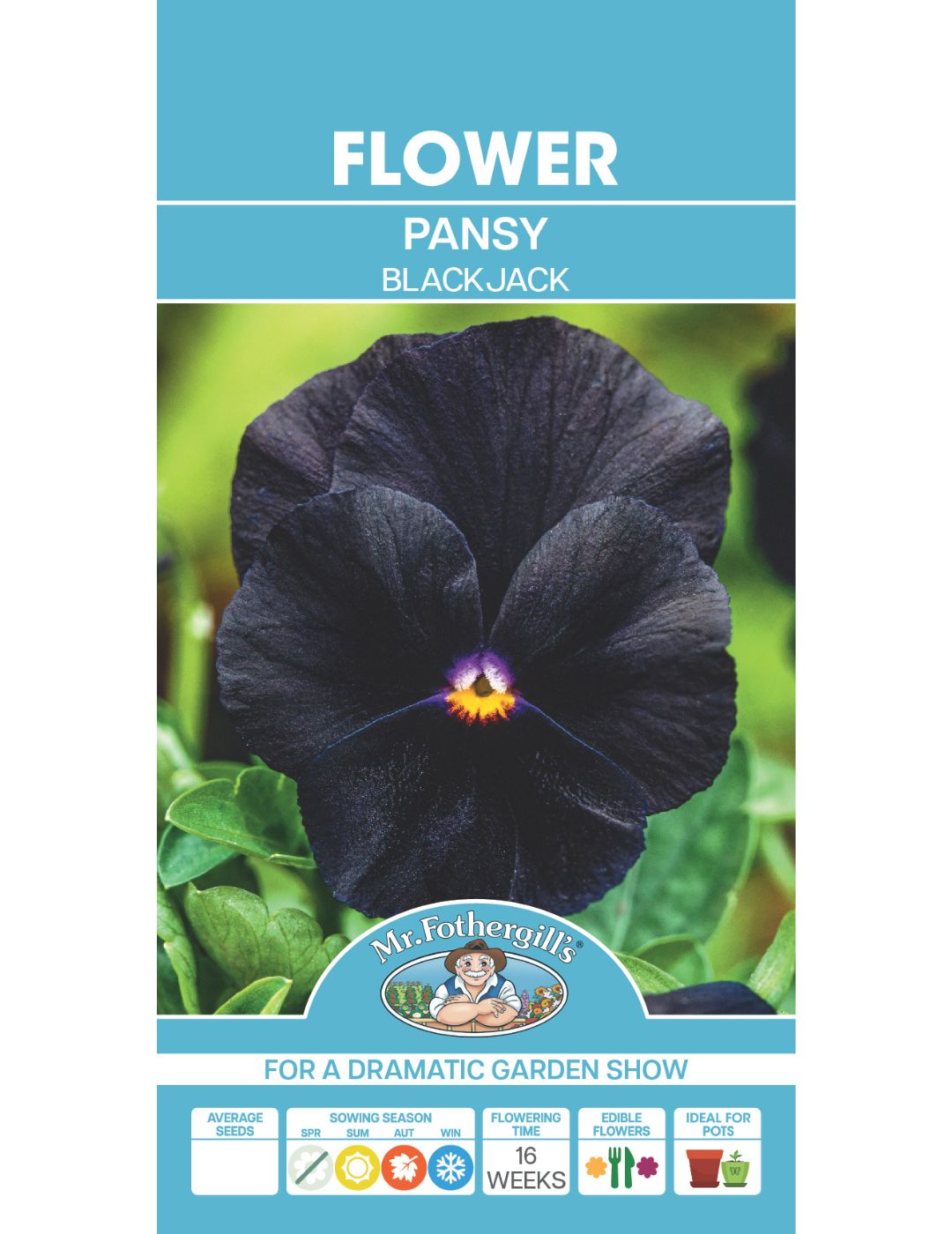 Pansy Blackjack Seeds