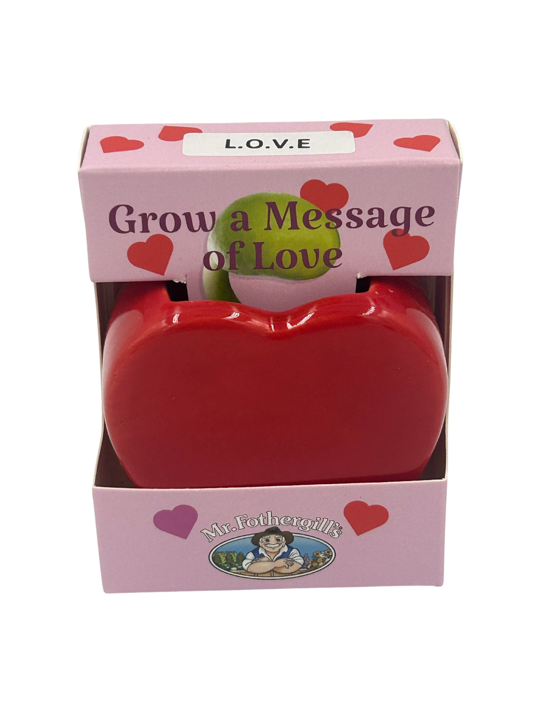 Love Heart Vase Grow Kit