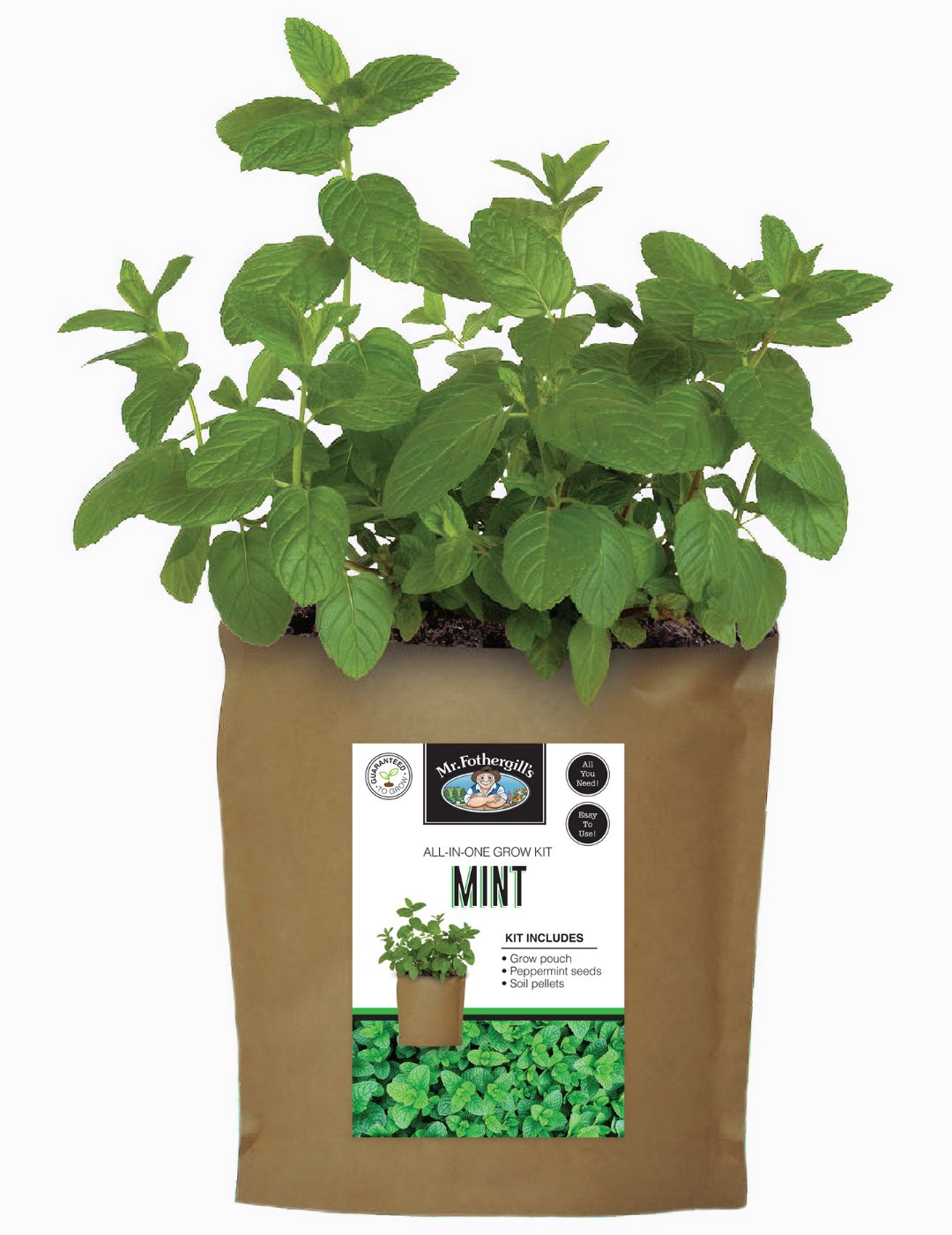 Mint Seed Grow Pouch Kit