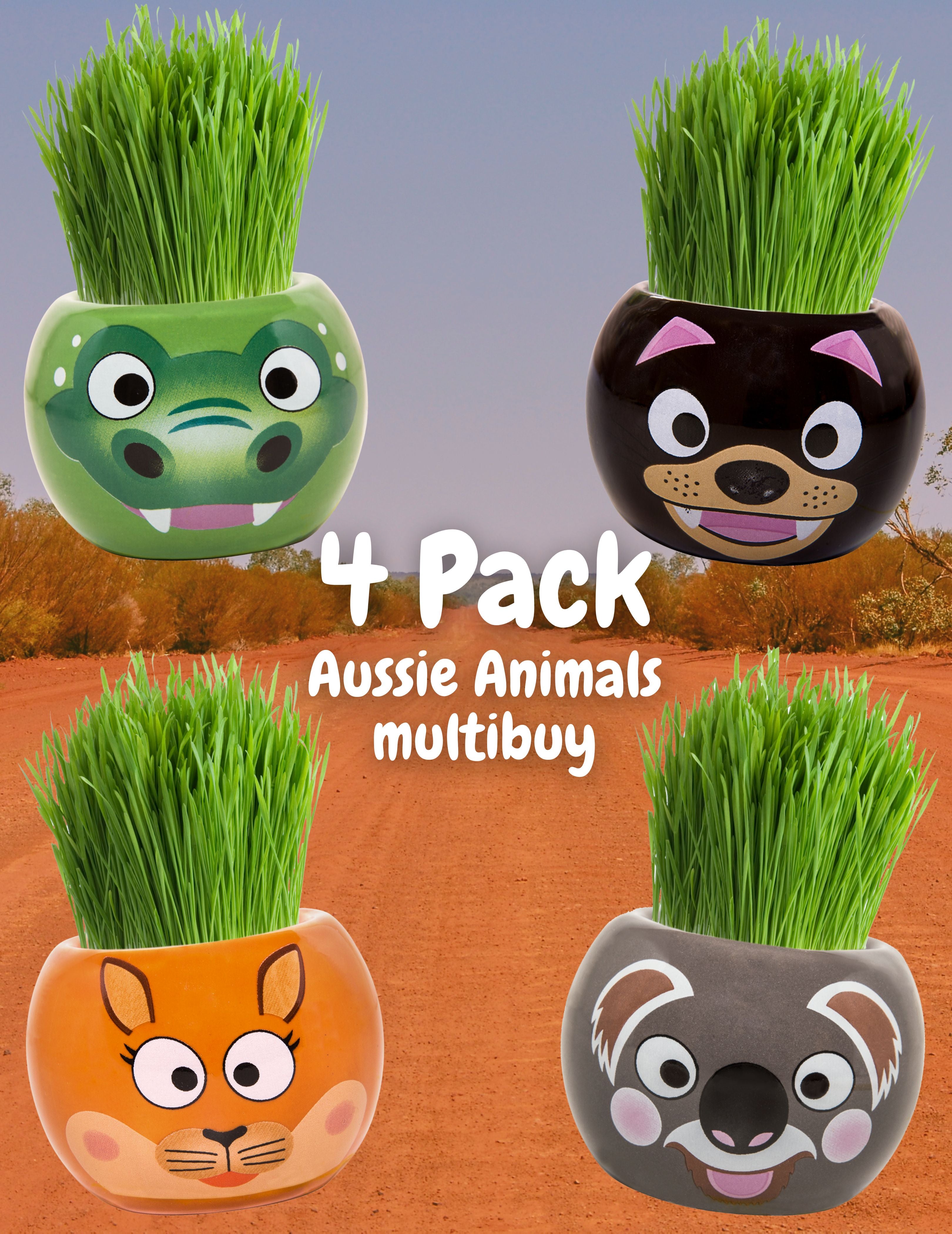 Grass Hair Kit - Aussie Animals 4 Pack