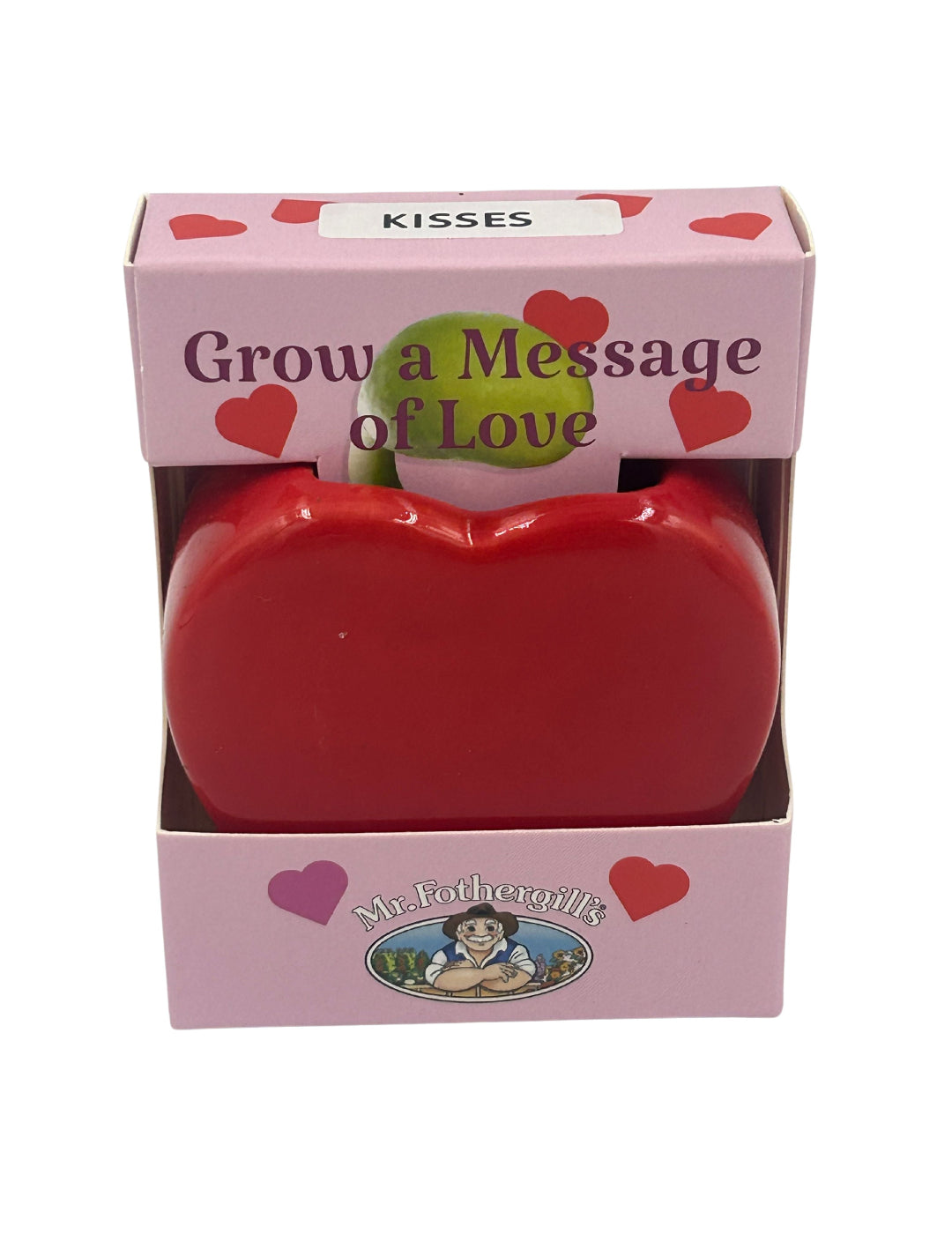 Love Heart Vase Grow Kit