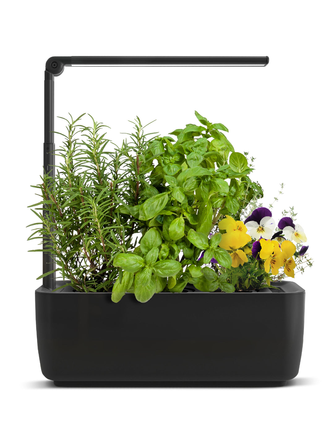 HydroGarden Elite Hydroponic Grow Kit - Black