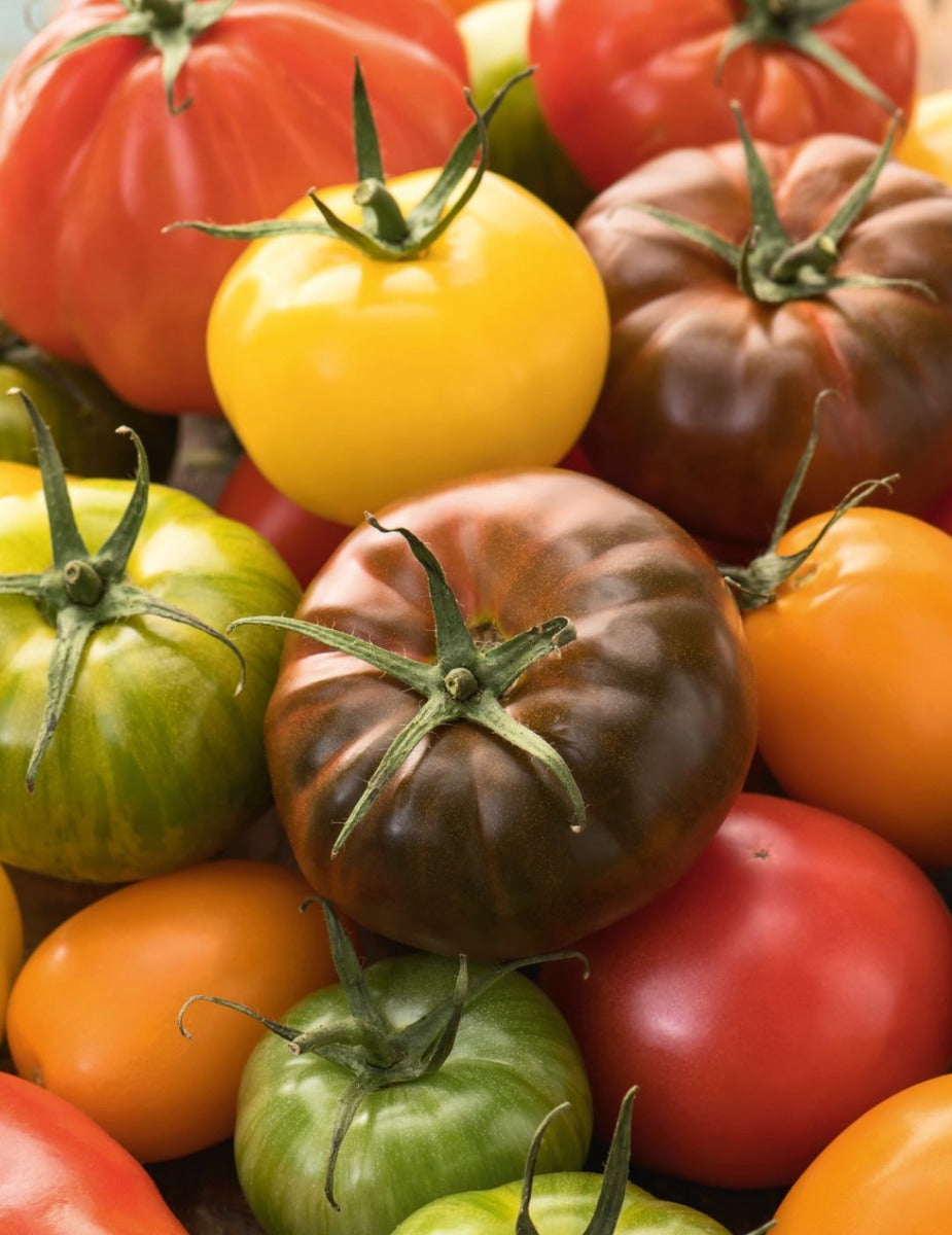 Tomato Heirloom Rainbow Blend