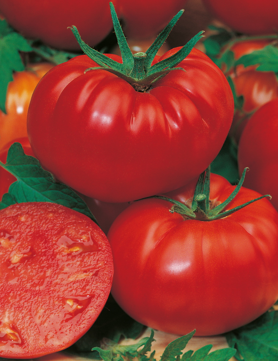 Mortgage Lifter Tomato Seeds (Beefsteak Heirloom)