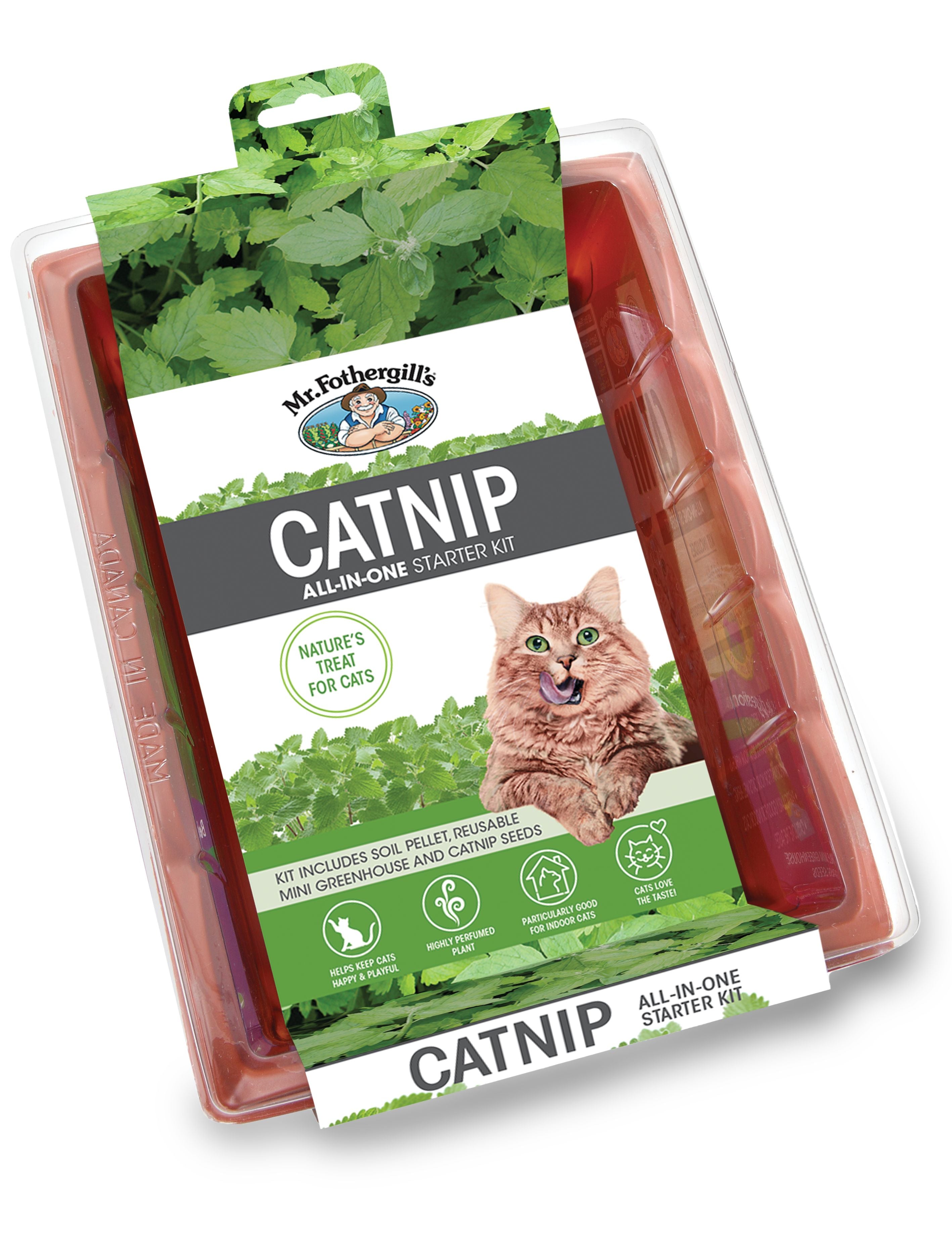 Catnip Seed Raiser Kit