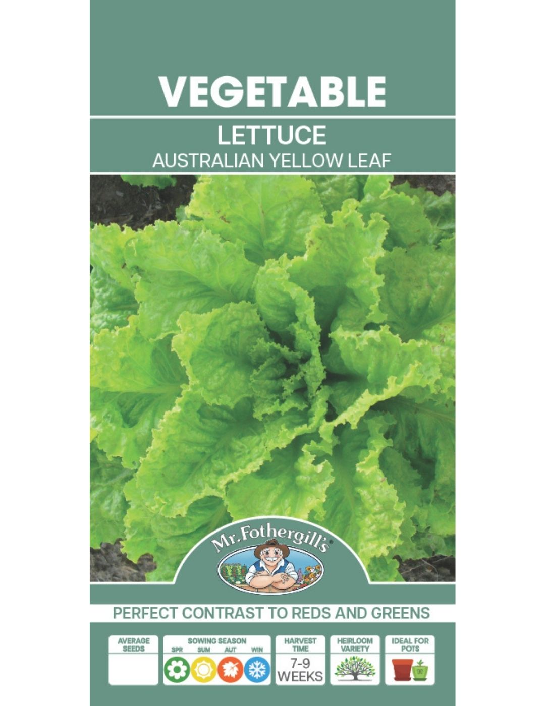 Australian Yellow Leaf Lettuce Heirloom