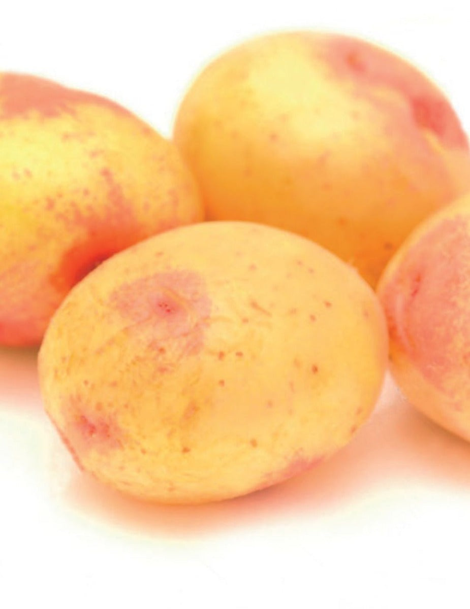 Seed Potato - Pink Eye 1kg bag